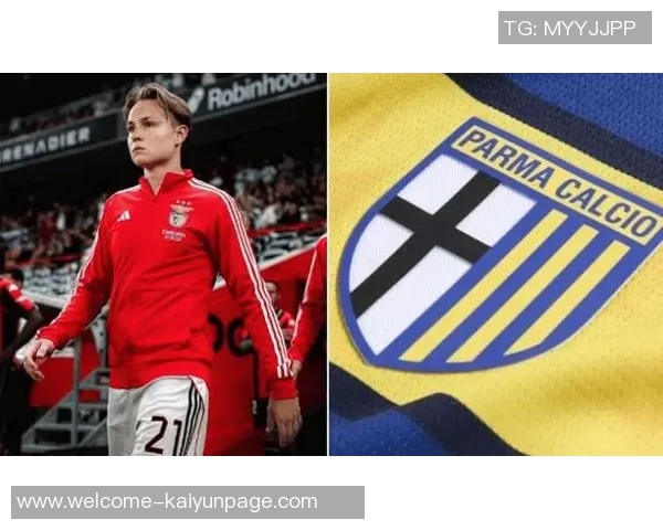 罗马与西汉姆联争夺本菲卡边锋谢尔德鲁普的转会机会